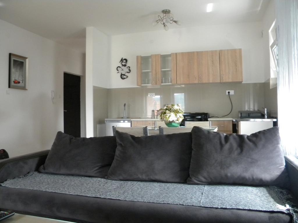 Apartment Srebrni Oblak Aranđelovac Extérieur photo